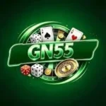 GN555 Game