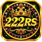 222RS Game