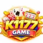 K117 Game